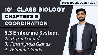 10th Biology Chapter 5 | Thyroid Gland, Parathyroid Glands, Adrenal Glands | New Book 2026 - 2027
