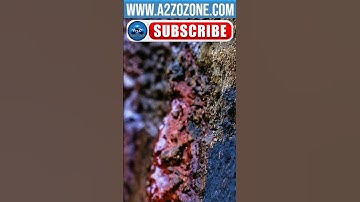 Reduction of Ammonia and Nitrites: Aquaponic Ozone Generator Application #ozone #a2zozone #a2z