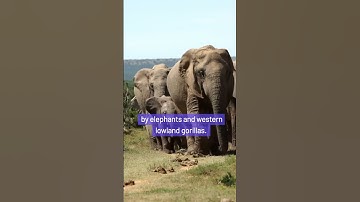 Top 5 Hidden Travel Gems You Need to Visit ✈️🌎