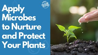 The Science of Soil Fertility in 3-Steps Part 3: Apply Microbes to Nurture and Protect Your Plants screenshot 4