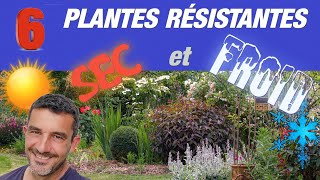 PLANTES VIVACES RESISTANTES au SEC et au FROID !