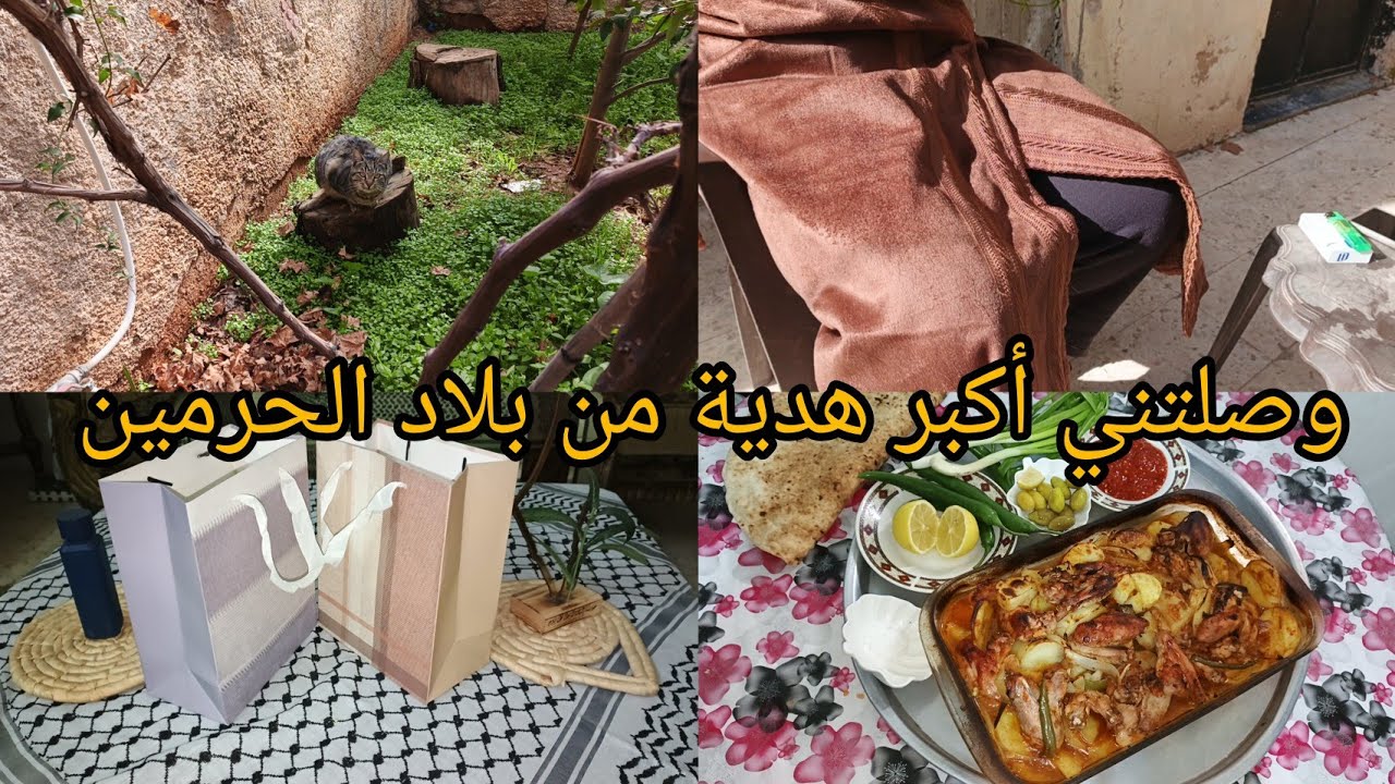 سر خفيته عنكم كثير 🎊 صينية الأجنحة بساعه وحدة 