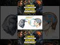 CORVOS RECONHECEM ROSTOS HUMANOS? (Parte 7)