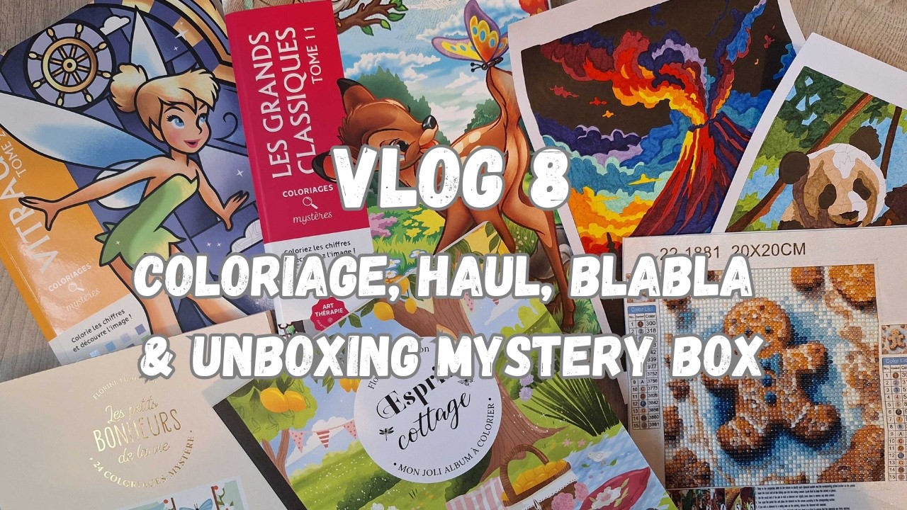 🦊VLOG 8 : Coloriage, Unboxing Mystery Box, Haul, Blabla organisation, Projets Diamond Painting