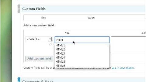 How to Embed Youtube videos into Wordpress posts using the EmbedIt Wordpress Plugin