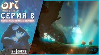 НОРЫ МЕЖ ЧЁРНЫХ КОРНЕЙ ● Ori and the Blind Forest [PC | 2K60FPS] #8