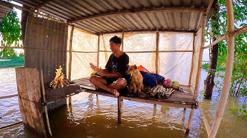 Camping in heavy rain with dogs | Camping on water in floodwaters