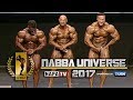 NABBA PRO MR UNIVERSE 2017 | FULL