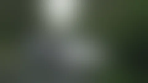 MDPS releases body cam footage of incident involvi...