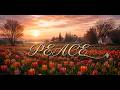 Calm Persian Music for Meditation, Sleep, Relax, Study & Work | Relieves stress, Anxiety, Depression