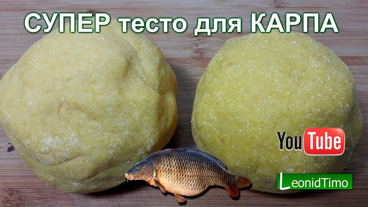 Чем кормят карпа в домашних условиях - советы и рекомендации