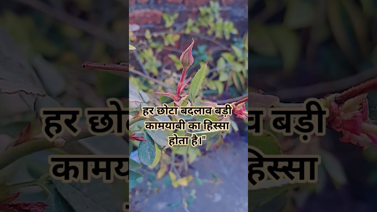 chotha badlav badi kamyabi#trending #motivation #youtubeshorts #badlav #shyari #status#yt #ytshorts
