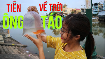 TẾT ÔNG CÔNG ÔNG TÁO - CÙNG YẾN TIỄN ÔNG TÁO VỀ TRỜI | YẾN TRẦN TV