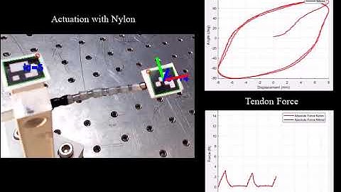 Benefits of Hysteresis in Tendon-Driven Continuum Robots