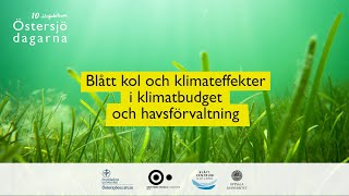 Blått Kol Och Klimateffekter I Klimatbudget Och Havsförvaltning