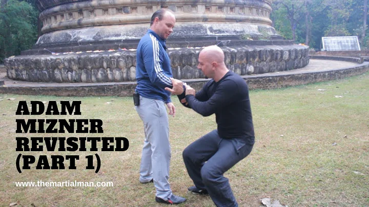 Yang Style Taiji Quan | Adam Mizner Revisited (Par...