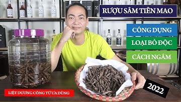 Sâm Tiên Mao hay Sâm Cau Đen xứng danh thần dược 30 phút