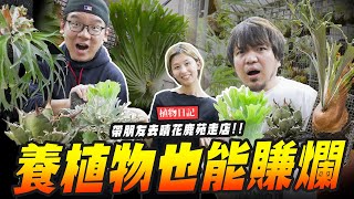 【植物日記】養植物一年也能賺爛!!! 帶