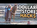 Dollar store horse hacks actually useful