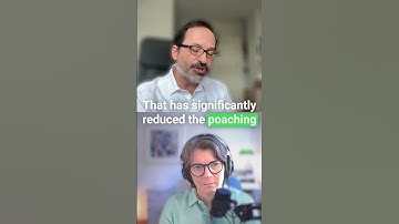 How LoRaWAN Helps Save Endangered Rhinos and Elephants - Alper Yegin, LoRa Alliance