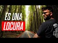 ATRAVIESO un ARBOL con la MOTO en un BOSQUE de ESTADOS UNIDOS