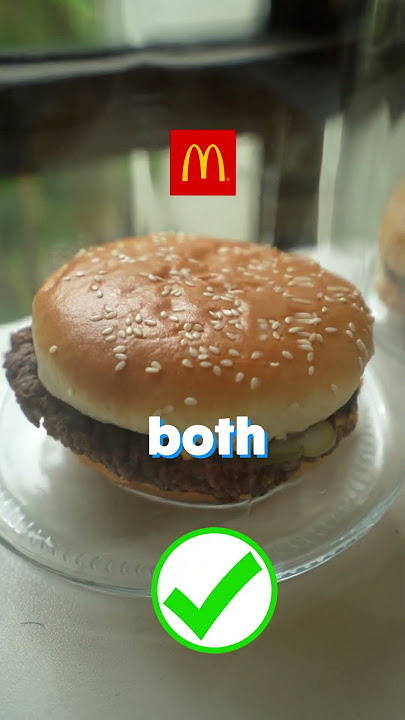Which Burger Will Rot The Fastest? Mcdonald's vs Burger King