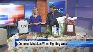 Common mistakes when fighting weeds