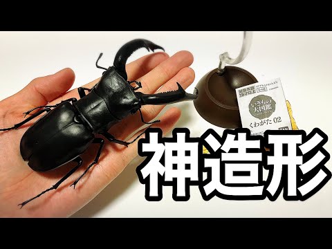 リアルでカッコ良いクワガタフィギュアの新作！【いきもの大図鑑】#149