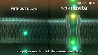 New Nuvita NP UPL Australia New Nuvita NP UPL Australia