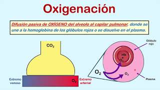 Formas para medir la oxigenación (Parte 1: FiO2, PaO2 y SO2)