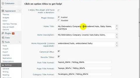 WordPress SEO Tutorial 10 - Configuring the All in One SEO Plugin