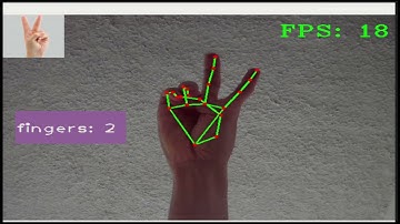 Finger Counting Demo | MediaPipe