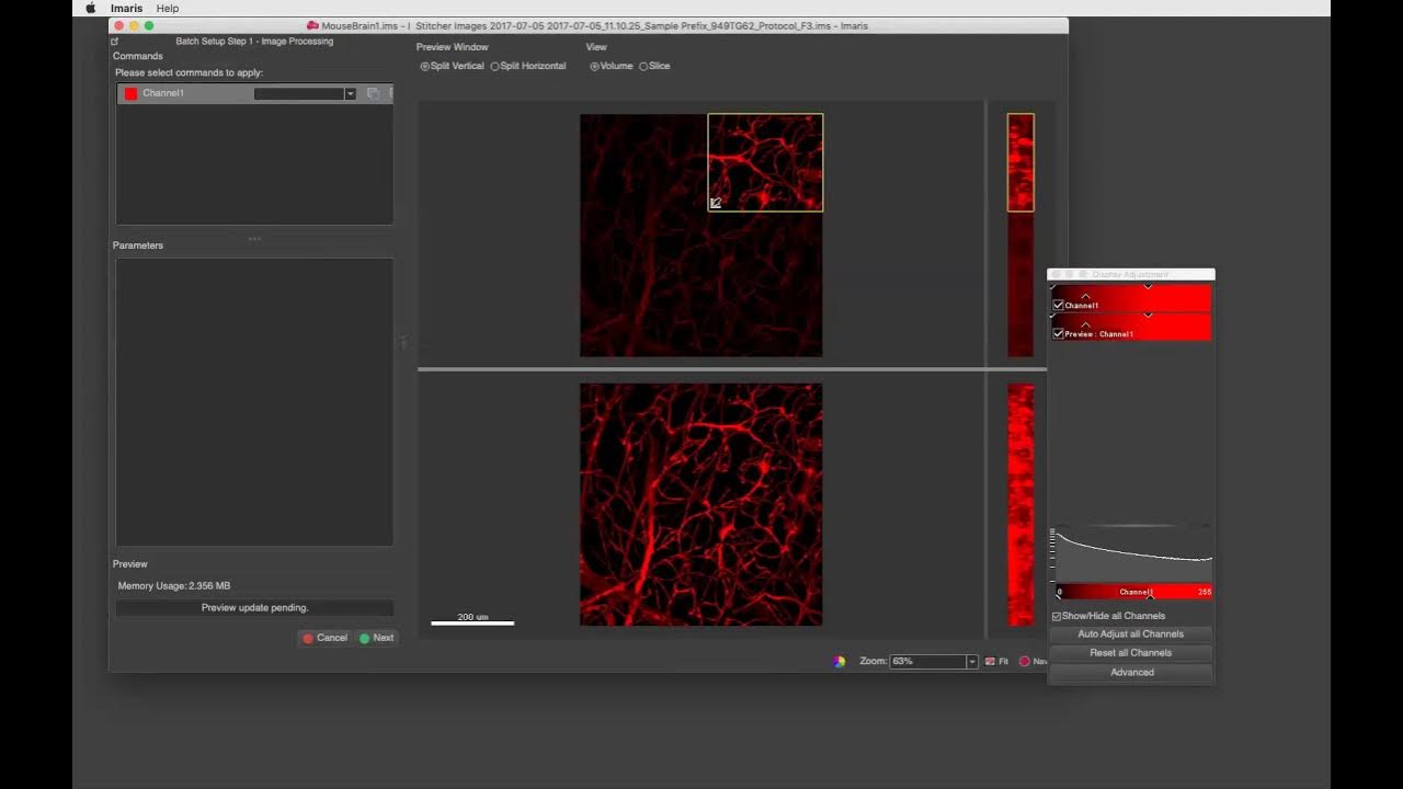 Imaris 9.3 Microscopy Image Browser and Deconvolution YouTube