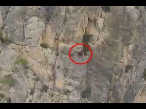 WARNING Horrifying Base Jump Extreme Accident