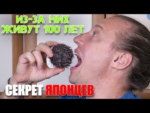 Секрет долголетия японцев. Вся правда о Морских Ежах.