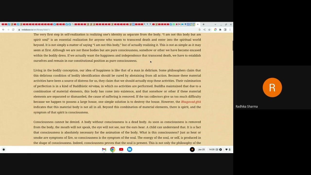 The Jiva Did Not Fall From Goloka