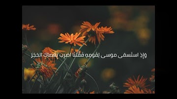 سورة البقرة - بصوت فضيلة الشيخ عبد الباسط عبد الصمد - الحزب ٢