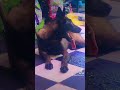 اشرس كلاب كلاب مالينو