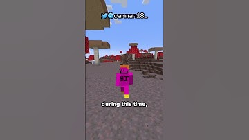 the rarest block in minecraft history...