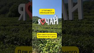 5 ТОП мест в Большом Сочи.Путешествуй самостоятельно #сочи #shotrs #video #лазаревское #головинка