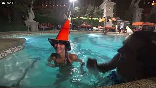 Ibabyrainbow is The Center Of Attention With Her Witches Hat