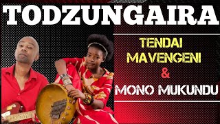 Download Lagu Todzungaira:Mono Mukundu \u0026 Tendai Mavengeni MP3