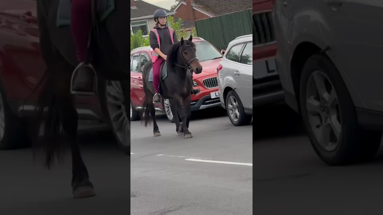 Advert reference - 402663