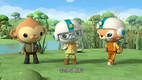 octonauts above and beyond season 5 cuckoo English full episode