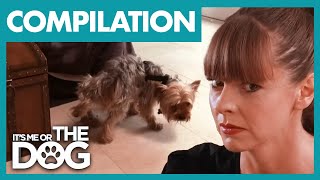 Victoria Stilwell’s Most DISGUSTING House Visits! 😱 | COMPILATION | It's Me Or The Dog