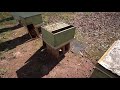 #147 Нуклеусный Роёк ,Быстрая подсадка молодой матки в отводок- Пчеловодство для начинающих