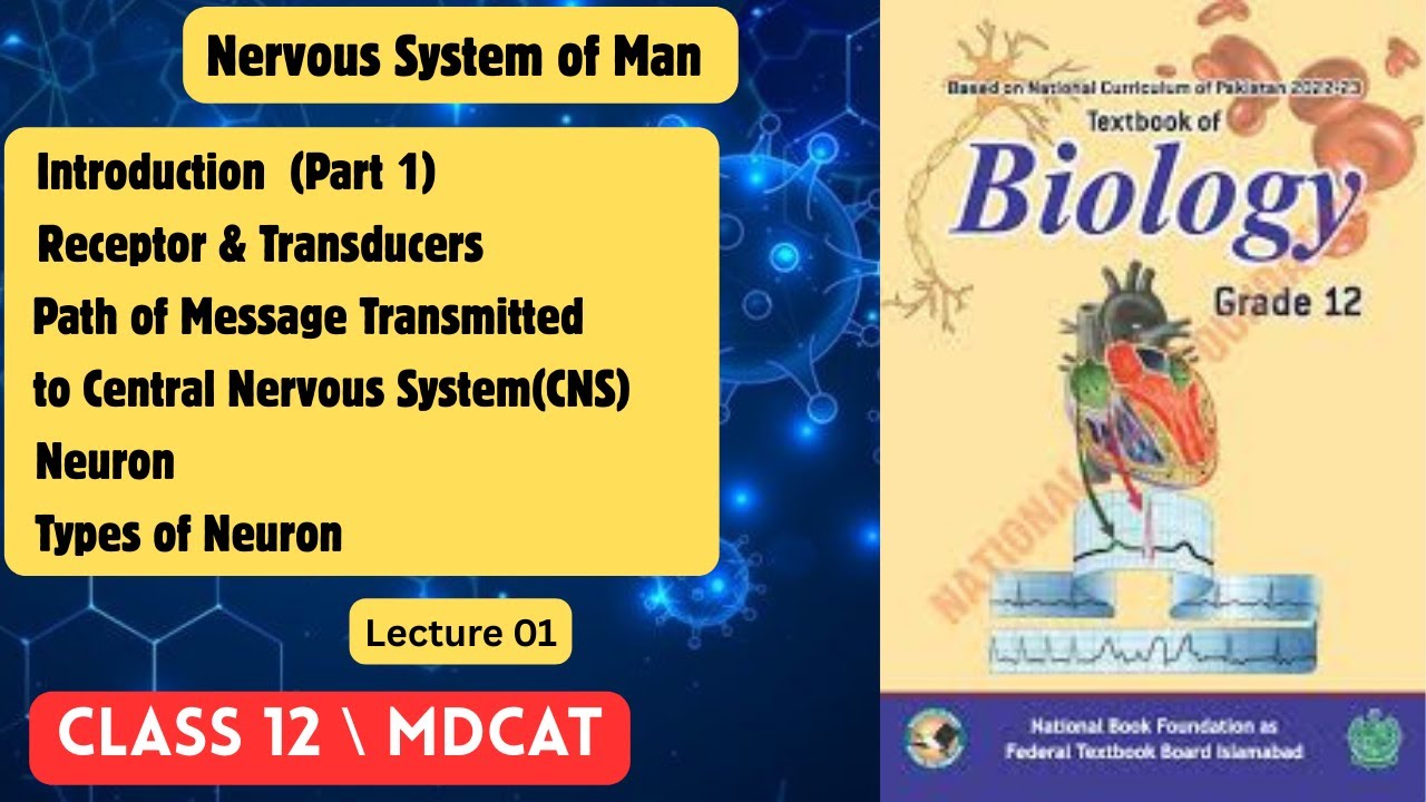 Nervous System of Man| Chapter 5| Lecture 01|2nd Year Biology