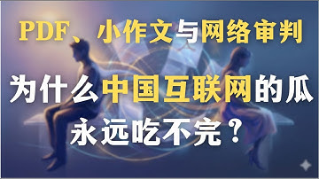 PDF、小作文与网络审判：为什么中国互联网的瓜永远吃不完？渣男渣女为何越来越多？｜受害者文化｜社会学｜心理学｜存在主义｜