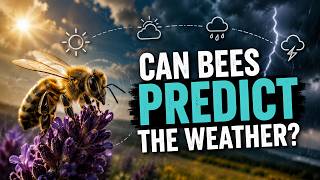 Do Bees Know the Weather Before We Do? Nature’s Secret Warning System