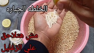 فاتح شهيه من عند العطار مش هتلاحق علي الزغليل الحمام